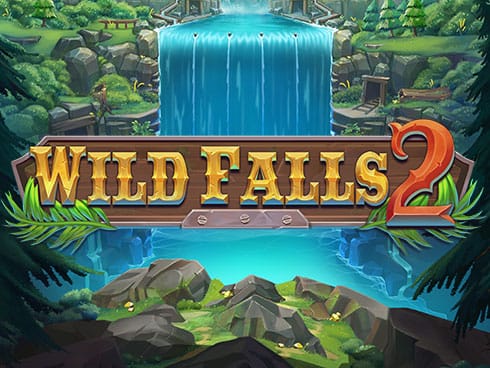 Wild Falls 2 game cover