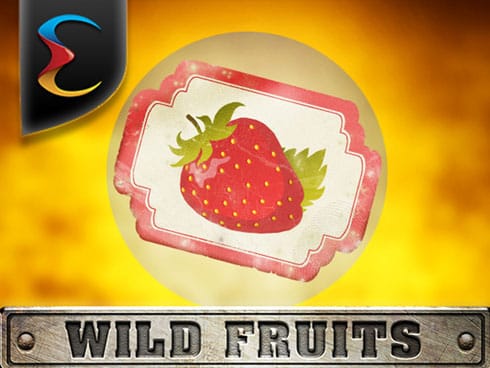Wild Fruits game cover